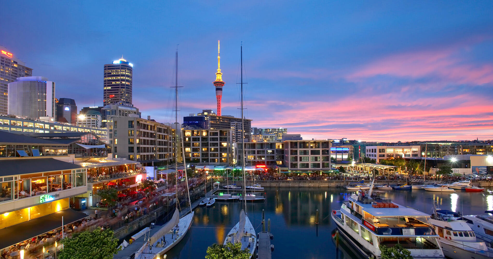 abroad studies in new zealand